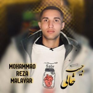 محمدرضا ملاور – جیب خالی